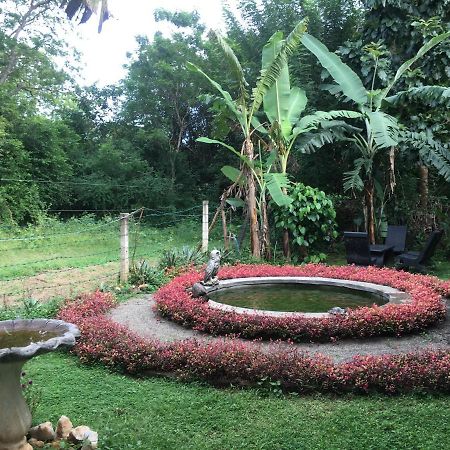 Owls Nest Hotel Udawalawe Ngoại thất bức ảnh