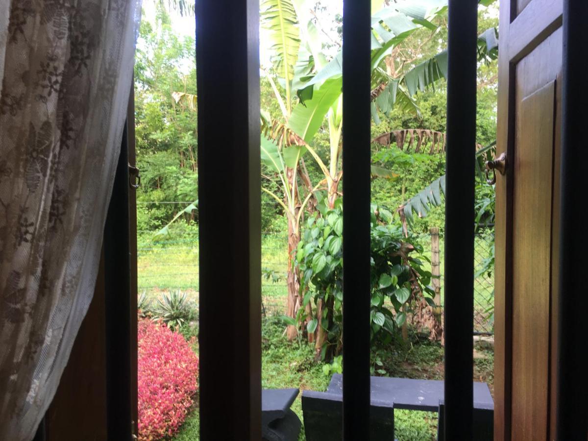 Owls Nest Hotel Udawalawe Ngoại thất bức ảnh