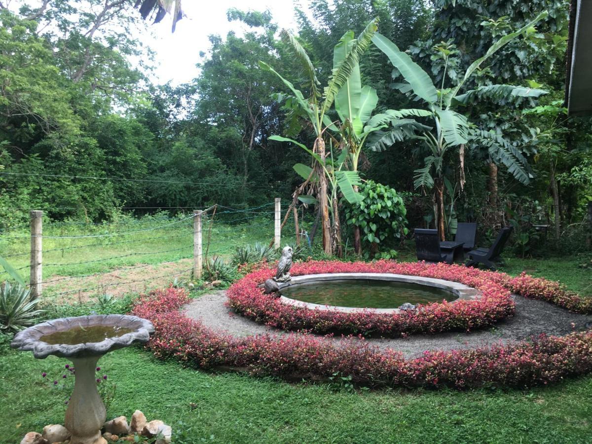 Owls Nest Hotel Udawalawe Ngoại thất bức ảnh
