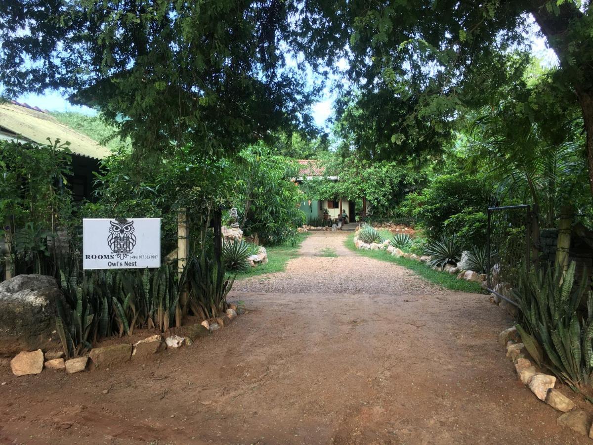 Owls Nest Hotel Udawalawe Ngoại thất bức ảnh