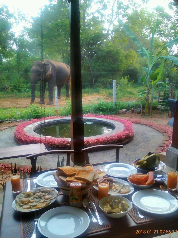 Owls Nest Hotel Udawalawe Ngoại thất bức ảnh